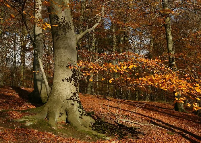 Burg Schlitz Hohen Demzin